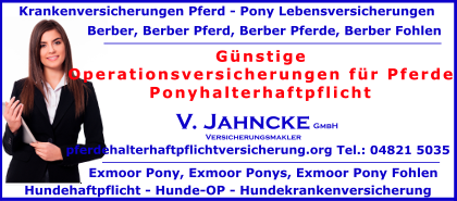 Operationsversicherungen-fuer-Pferde